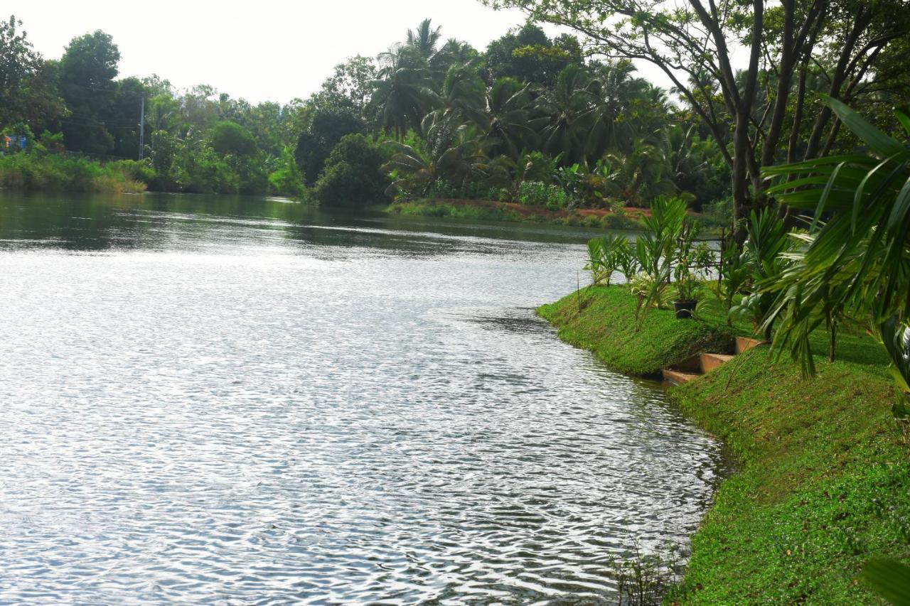 Canal Side Safari Resort Udawalawe Kültér fotó