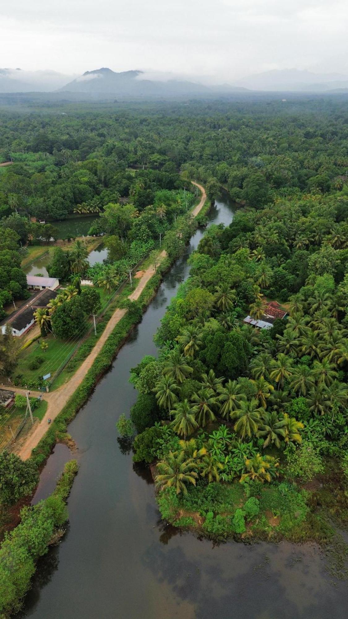 Canal Side Safari Resort Udawalawe Kültér fotó